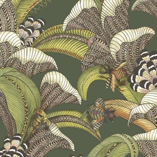 Tapeta owady tropikalne fauna flora zieleń Hoopoe Leaves Cole&son 119/1003