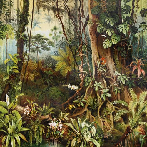 Mural Inkiostro Bianco tropikalne drzewa Amazzonia INKBIUU16