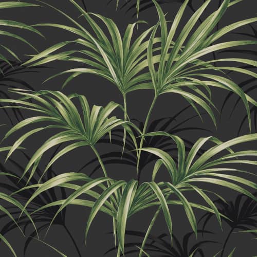 Tapeta liście palmy czarna Maui Maui Wallquest TP80600