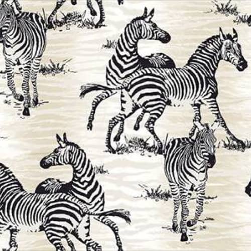 Tapeta w Zebry Zebra CARL ROBINSON ISLAND NO.10 CR20500